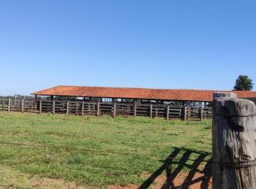 20230924133557986693.jpg · Fazenda para Venda em Presidente Prudente, Área Rural de Presidente Prudente