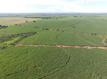 20230924144710846274.jpg · Fazenda para Venda em Mirandópolis, Zona Rural