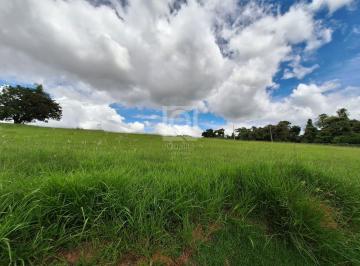 Foto 20 · Terreno com 1.000 m² à venda no Condomínio Fazenda Jequitibá - Sorocaba