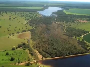 Rural , João Pinheiro · Fazenda a venda em João Pinheiro - 1730 HA - Ótima para irrigação - Oportunidade