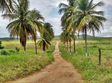 20231116084257539926.jpg · Fazenda para Venda em Manga, Zona Rural