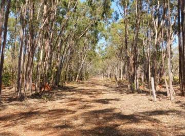 20231124115957737226.jpg · Fazenda para Venda em Felixlândia, Zona Rural