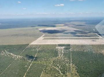 2023121907430465568.jpg · Fazenda para Venda em Arinos, Zona Rural
