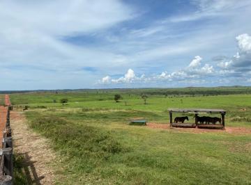 2023122408571156557.jpg · Fazenda para Venda em Canabrava do Norte, Zona Rural