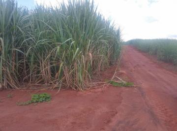 20231224091138584553.jpg · Fazenda para Venda em Campinas, Área Rural de Campinas