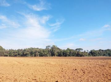 202605021623384398.jpeg · Fazenda para Venda em Munhoz, Zona Rural