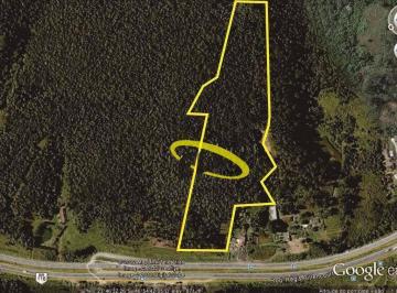 745b6bdf2f56b7651821310757adcaf1ab733daa · ÁREA 63.202,79 m² às margens da Rod. Regis Bittencourt - Km 297 + 150 m
