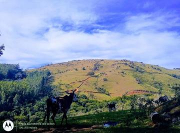 Foto 14 · Chácara à venda em Pedreira-SP, no bairro Entre Montes: lazer, conforto e natureza!