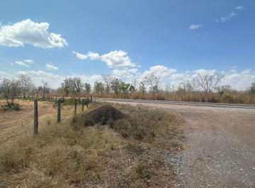 Rural , Teresina de Goiás · FAZENDA - TERESINA DE GOIÁS - GO| 726 HÁ, MARGENS DA BR, PLANA, RIO, AGRICULTURA