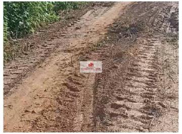 dfbb9701a4e94364004ad47363d225d7.jpg · Fazenda com 541 hectares, dupla aptidão, toda cercada, com energia