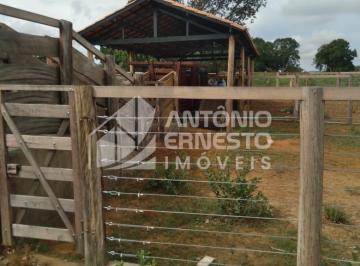 Rural , Morro da Garça · Fazenda 113 hectares Morro Da Garça
