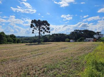 Foto 06 · EXCELENTE ÁREA RURAL- ITAIÓPOLIS/SC