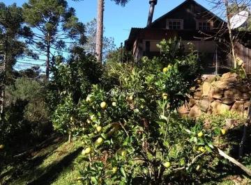 446446_i704uXZrv_446446652e9307b912e.jpg · Propriedade Rural no bairro Zona rural