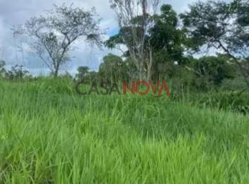 Fazenda com 450 tarefas em Simão Dias · Fazenda com 450 tarefas em Simão Dias