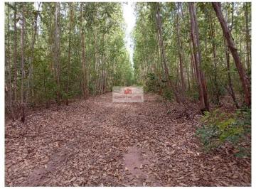 88f82c3dd6c276f6647e8c64711f9d66.jpg · Fazenda com 2.630 hectares, com casa sede