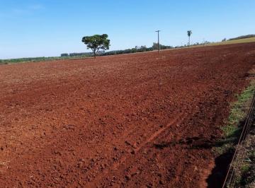 Rural , Terenos · Excelente propriedade em Terrenos - MS Dupla Aptidão 