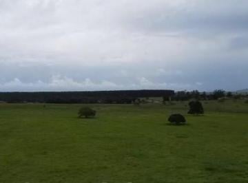 Foto 02 · FAZENDA À VENDA EM TEIXEIRA DE FREITAS / BAHIA