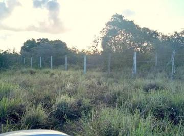 Terreno , Nísia Floresta · Terreno em Pium com 12.000,0 m2 - Nisia Floresta RN