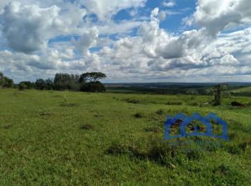 Foto 01 · Sítio/Fazenda à Venda, 5,5 alqueires por R$ 1.200.000 Cód. ch1468