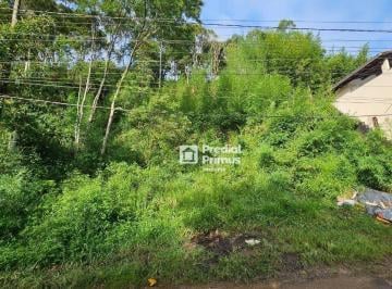 48ace0c2e59d3d03c82ce1b6231544419baef95f · Terreno à venda, 896 m² por R$ 280.000,00 - Praça da Furunfa - Nova Friburgo/RJ