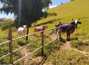 Rural de 2 quartos, Bom Jardim · Sítio em Bom Jardim - Região Serrana do RJ 