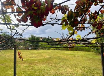 Terreno , Águas Claras · SHA CONJ 5 CHÁCARA 110 - LOTE 530M² - VISTA ESPETACULAR