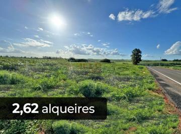 14997479900.jpg · SITIO DE 2,62 ALQUEIRES - TUNEIRAS D* OESTE- PR