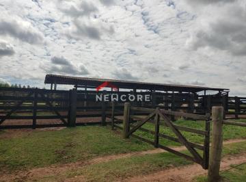 Rural · 1056000000m² · 4 Quartos · 2 Vagas · Sítio em   Anhembi - Centro - Anhembi/SP
