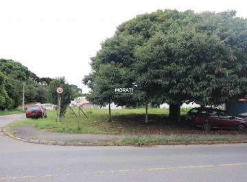 Terreno em São José dos Pinhais - Rio Pequeno (TE01514) · Conjunto de 4 Terreno no bairro Rio Pequeno