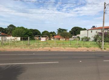 20240208110616244.jpg · Terreno para Venda em Martinópolis