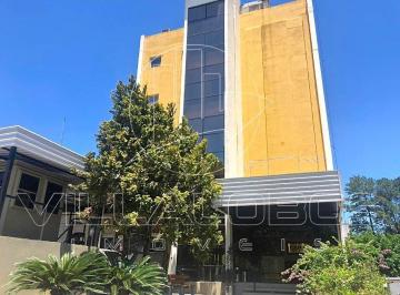 9987ccc4afcd22ca5b707c7cd6bd686fcf0ece22 · Galpão à venda, 4682 m² por R$ 29.000.000,00 - Parque Anhangüera - São Paulo/SP