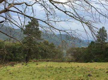 Rural de 1 quarto, São Francisco de Paula · Sítio com 25 Hectares em São Francisco de Paula/RS na Localidade da Samambaia