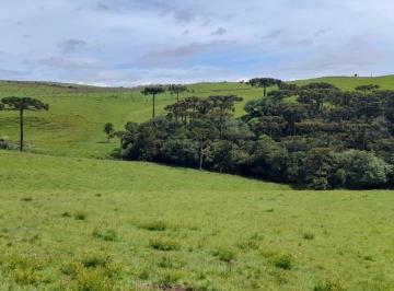 Rural , São Francisco de Paula · Sítio na Serra Gaúcha na cidade de São Francisco de Paula/RS com 13 Hectares