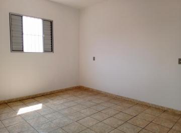 Foto 25 · Casa, Jardim Ruth, São Paulo, SP