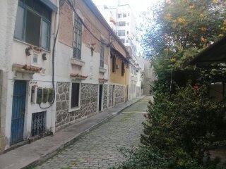 66305_i6m78hm2S5TVmV651_6630565d4f9be63387.jpg · Casa para aluguel - em Botafogo