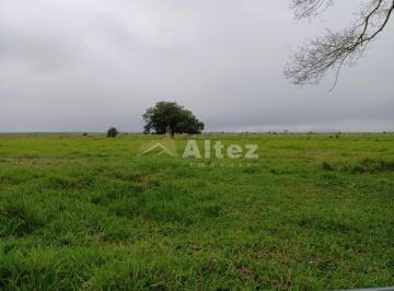 Foto 07 · Fazenda 175 Alqueires (847 ha), Pastos, Água Abundante, Guapimirim, RJ
