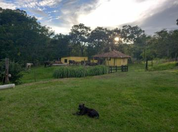 Foto 01 · Fazenda, Centro, Lorena, SP