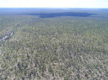 Rural , Cocos · Fazenda  270 Hectares / 55 Alqueires, Oportunidade só esse mês.