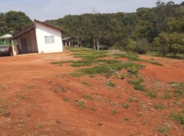 Foto 01 · SÍTIO MEDINDO 8.000M²: ESTRADA MUNICIPAL VEREADOR ALVARO ALESSANDRI, S/Nº - CAMPO NOVO - BRAGANÇA PA