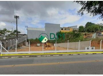 Terreno · 1200m² · Terreno à venda, Vila Elias - Jacupiranga/SP