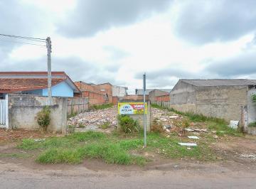 31_1_1.jpg · Terreno à venda - em Guatupê