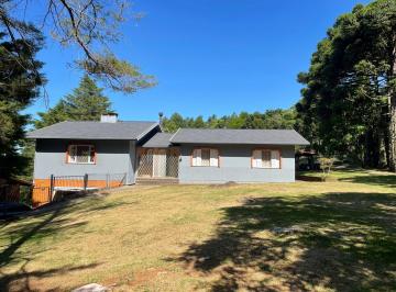 Rural de 3 quartos, São Francisco de Paula · Sítio de Alto Padrão a Caminho da Serra Gaúcha em São Francisco de Paula/RS