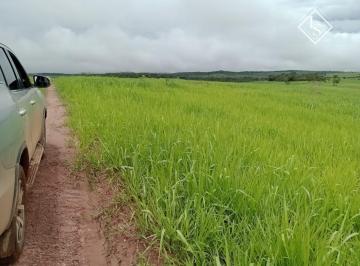 Rural · 1250ha · Fazenda de 1250 ha em Morada Nova de Minas, com córrego e pasto formado