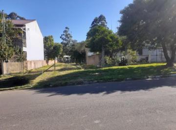 20240226152041373.jpg · Terreno Urbano para Venda em Alvorada, Piratini