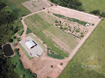 f8be8b0e47c87fe7360f64053863550a9f3417fe · Sítio com 1 dormitório à venda, 30000 m² por R$ 2.500.000,00 - Centro - Jarinu/SP