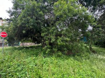 539332.jpg · Terreno - Bairro Vila Maggi
