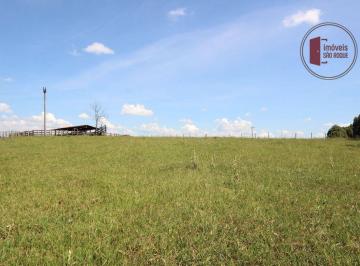 e3ae3d2ee93b59a34d3afb16249f003f6c470965 · Fazenda com 59 alqueires para Criação de boi