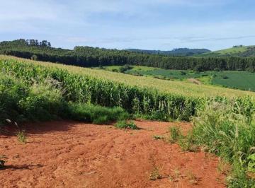 0fb09f812d591bf944580e5c89daf4d4.jpg · Fazenda / Sítios / Chácaras com 2 quartos à venda em Campestre, no bairro Zona Rural