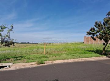 Terreno · 208m² · ÓTIMA LOCALIZAÇÃO