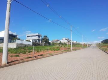 Foto 14 · Lançamento - Loteamento da Montanha II